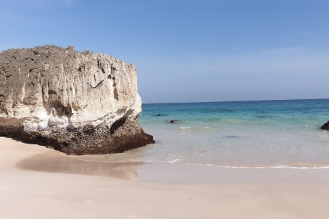Safari na plaży West Salalah – Mughsail, Fazayah, BlowholesWycieczka prywatna: całodniowa wycieczka do West Salalah