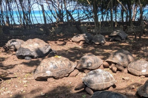 Da Nungwi: Escursione giornaliera all&#039;Isola della Prigione e al banco di sabbia di Nakupenda