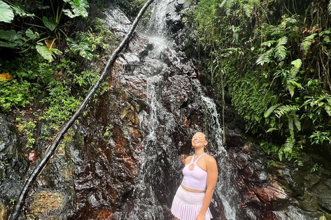 Fajardo: Vattenrutschkana, vattenfall i regnskogen El Yunque