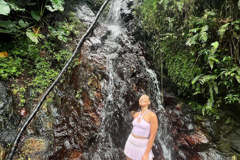 Fajardo: Vattenrutschkana, vattenfall i regnskogen El Yunque