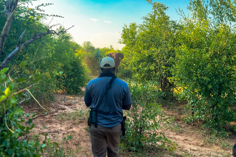 Victoria Falls: Game Walk in the Zambezi National Park Morning Game Walk