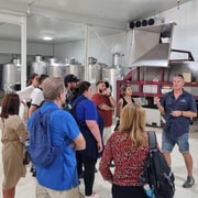 From Sydney: Hunter Valley Beer & Wine Group Tour