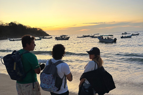 Puerto Vallarta: Bioluminescencja w Parku Morskim Los Arcos