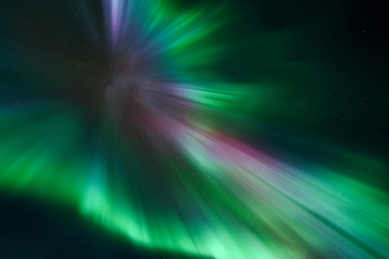 Tromsø: Tour dell&#039;aurora boreale con guida locale