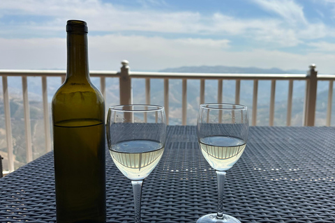 Porto: Douro Valley Train Tour, Cruise, Wine & Lunch