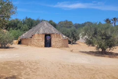 Djerba: Djerba Explore Experience with Crocodiles and Lella Hadhria Museum