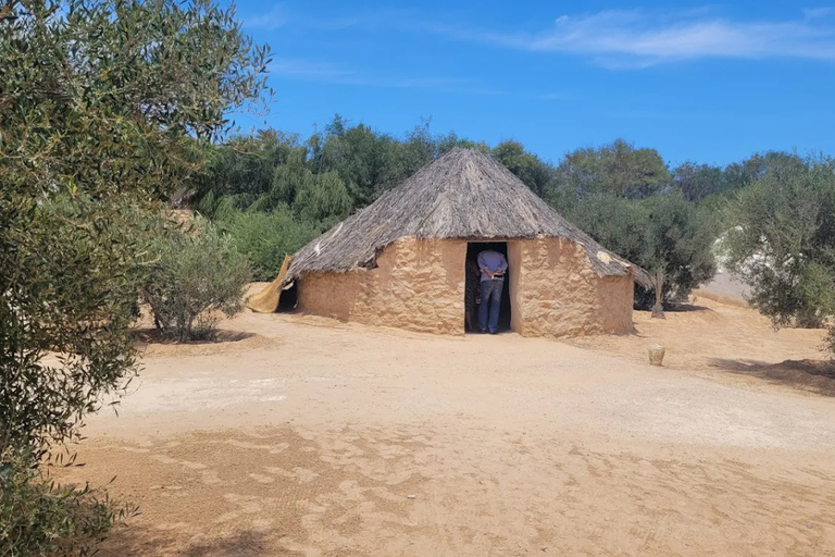 Djerba: Djerba Explore Experience with Crocodiles and Lella Hadhria Museum