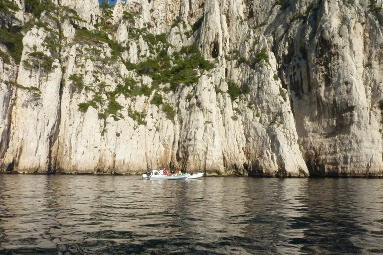 La Ciotat: poranny rejs wycieczkowy po Calanques z nurkowaniem z rurką