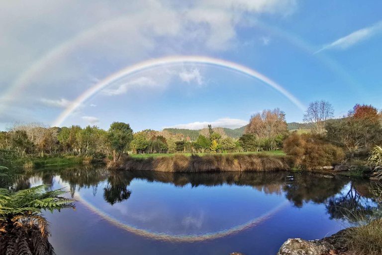 Auckland Day Trip: Explore Hobbiton’s Magic & Vintage Cars