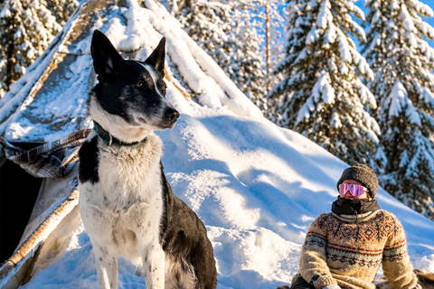Rovaniemi: Meet Vasco Husky & Enjoy Sled Ride at Husky Farm ⭐ Winter Husky Adventure with Vasco | Jan 1 – Mar 31