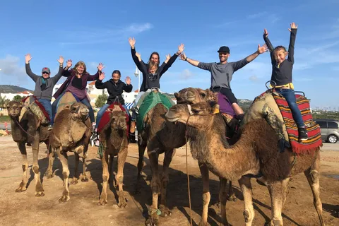 Agadir/Taghazout: Passeios de camelo com chá e transfer