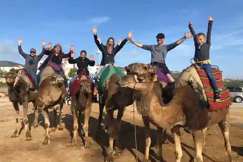 Agadir/Taghazout: Kamelturer med tedrikk og transport