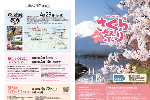 Tokyo:Cherry Blossom Mt Fuji & Shibazakura Festival Day Trip 07:30 Pick&Drop from Hotel/BnB