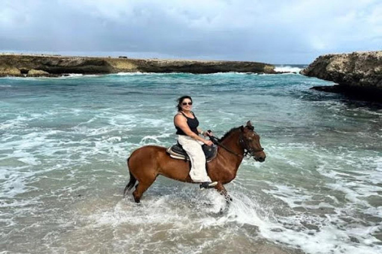Aruba: Horseback Morning Tour and Beach Ride