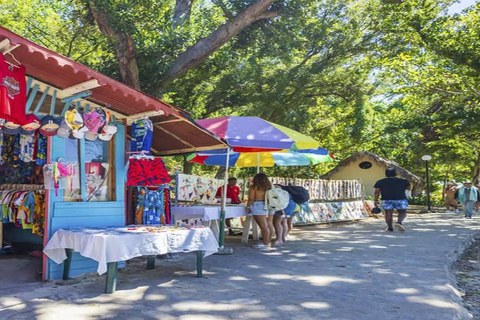 Punta Cana: Samaná ATV Tour with Lunch & Beach Swim