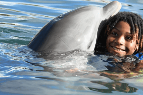Private Puerto Plata Dolphin Encounter & Ocean World Escape