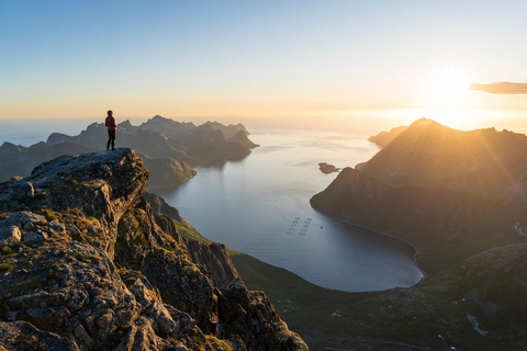 Tromsø: Senja Island Day Fjord Trip with Lunch and Photos