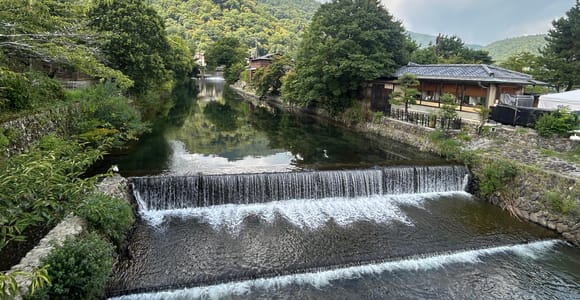 Arashiyama Private Morning Tour: Bamboo Grove & Zen Temple