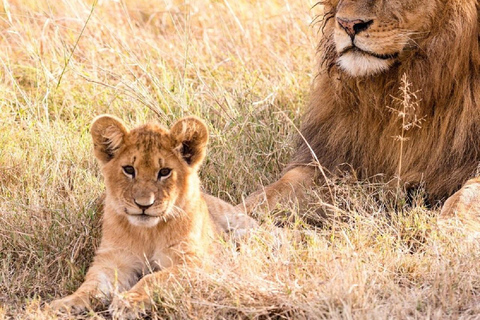 Nairobi: 3-Day Samburu National Reserve Safari Tour