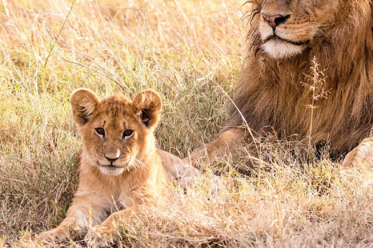 Nairobi: 3-Day Samburu National Reserve Safari Tour