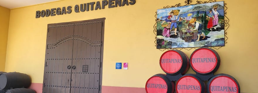 Bodegas Quitapenas : Visite guidée et dégustation de vins