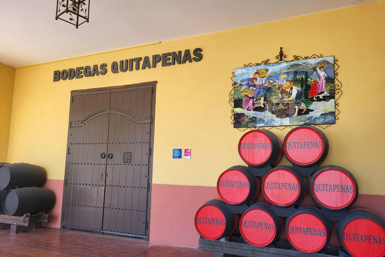 Bodegas Quitapenas: Guided Tour + Wine Tasting Quitapenas Winery: Guided Visit + Wine & Ham