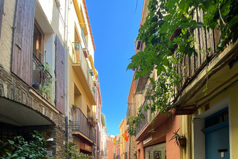 Argelès-sur-Mer: Nature, vineyards, and landscapes of Catalonia Argelès-sur-Mer: Nature, vineyards, and the landscapes of Catalonia