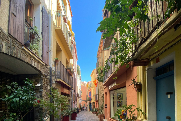 Argelès-sur-Mer: Nature, vineyards, and landscapes of Catalonia Argelès-sur-Mer: Nature, vineyards, and the landscapes of Catalonia