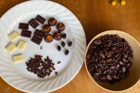 Medellin : Visite d&#039;une ferme de cacao et fabrication de chocolat, près de la villeVisite guidée