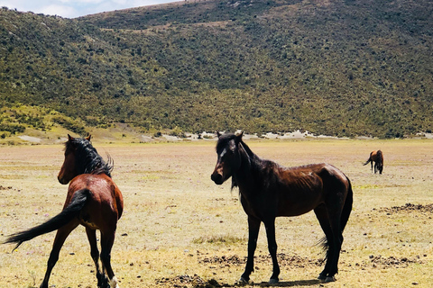 Aventura en el Cotopaxi