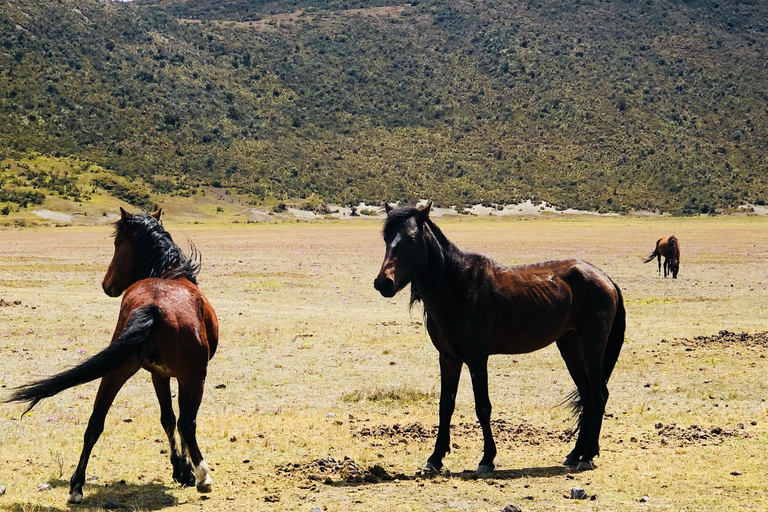 Aventura en el Cotopaxi