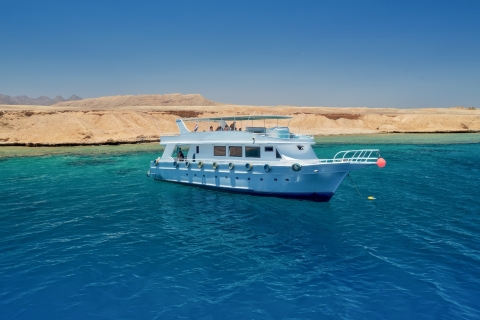 Sharm El Sheikh: Navegación de un día a la Isla Blanca y a Ras MohamedViaje en yate a la Isla Blanca y Ras Mohamed con equipo de buceo