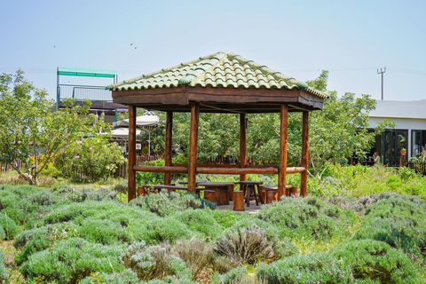 Cypern: Läkande örter och labyrint i Cyherbia Botanical Park