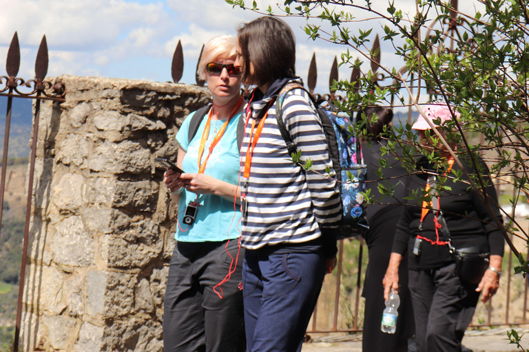 Malaga: Private Excursion to Ronda with Local Guide Malaga: Private Excursion to Ronda with a Local Guide