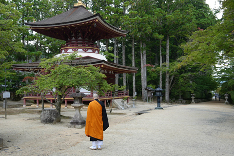 Koyasan Hidden Gems Day Trip From Osaka