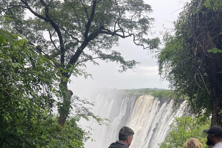 Private Victoria Falls Adventure & Bridge Walking Tour