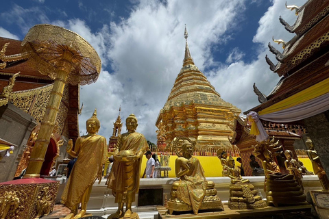 Chiang Mai : Sanctuaire des éléphants, sentier des moines et visite du Doi SuthepPrise en charge en hôtel à Chiang Mai Center