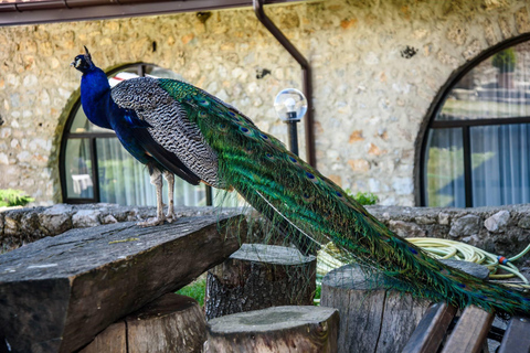 Excursion en bateau au monastère de St. Naum