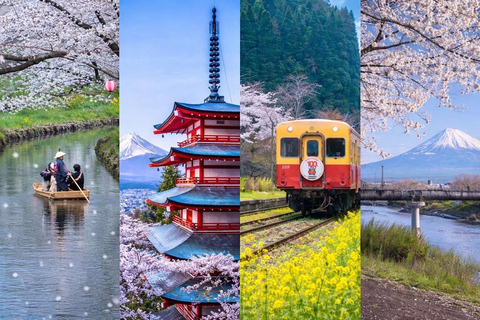 Tokyo: Mount Fuji & Pagoda & Oshino Hakkai & Lake Kawaguchi Route B : Mount Fuji & Hakone Private Customizable Day Trip