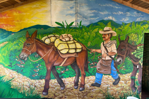 Medellin: Coffee and fruit tour