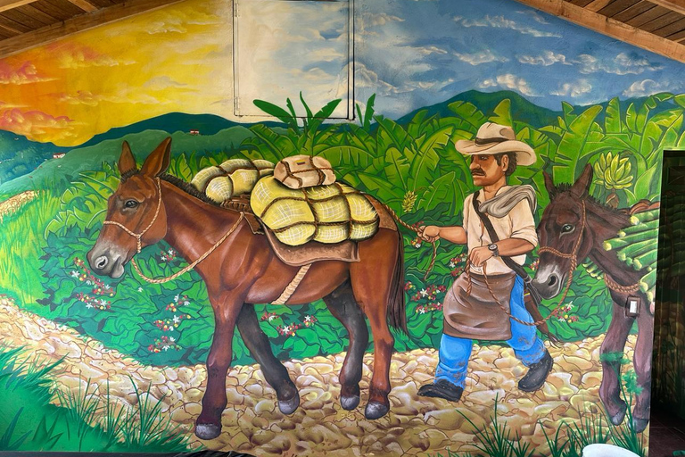 Medellin: Coffee and fruit tour