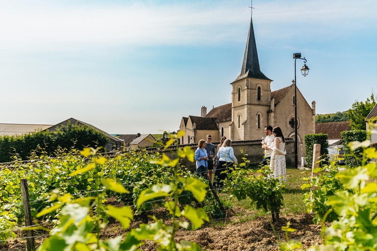 From Paris: Private Sancerre Wine Tour w 10 Tastings & Lunch