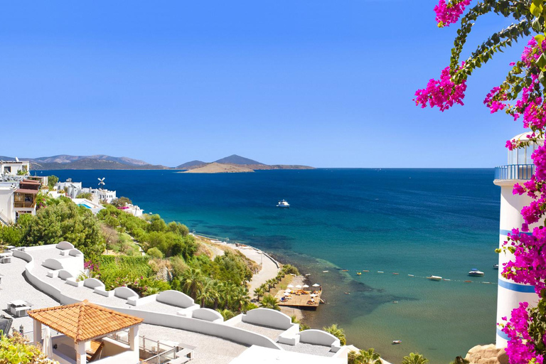 For Cruisers: Guided Bodrum Tour with Castle and Windmills