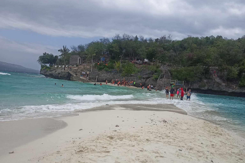 Oslob: Whale Sharks, Tumalog Falls & Sumilon Trio Adventure