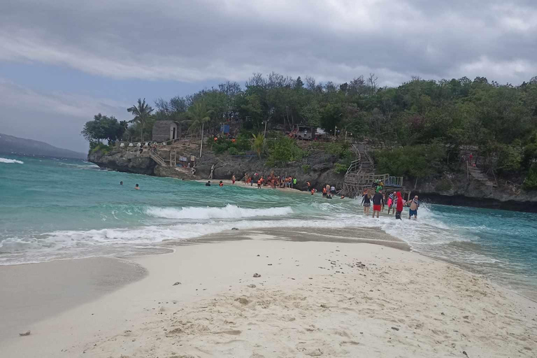 Oslob: Whale Sharks, Tumalog Falls & Sumilon Trio Adventure