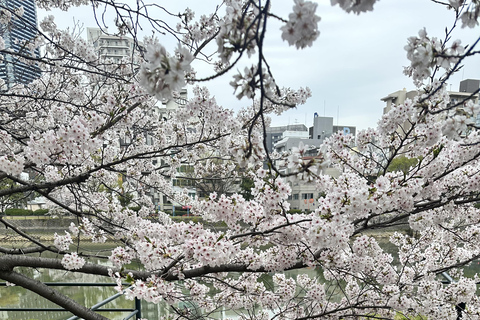 Hiroshima’s Highlights & Hidden Spots: Private Walking Tour