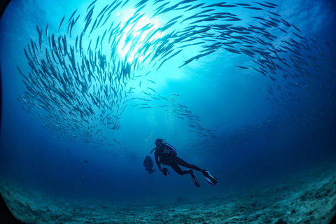 From Phi Phi: Half-Day Trip for Certified Divers (2 Dives) Afternoon Diving for Certified Divers (2 Dives)