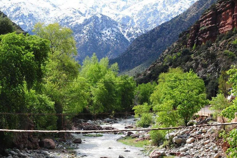 Marrakech: Vale de Ourika, Montanha Atlas, Cachoeiras e Guia