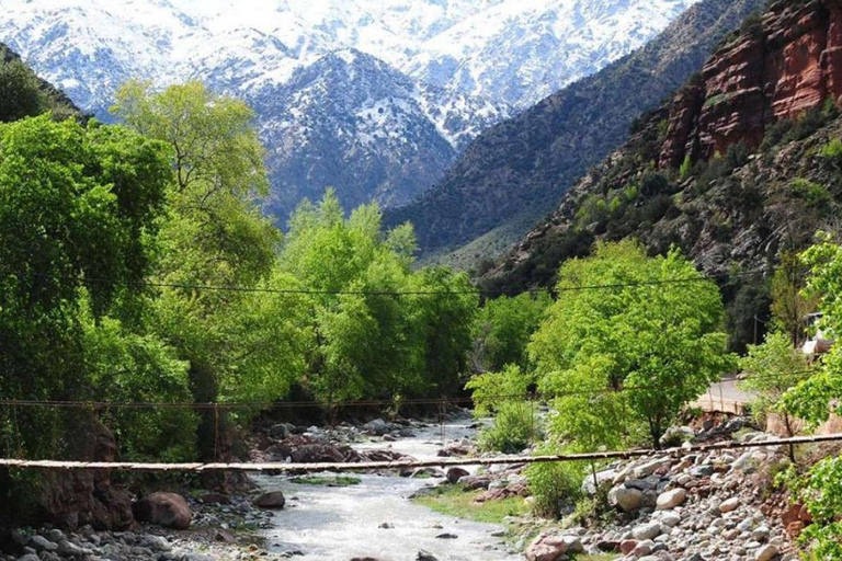 Marrakech: Vale de Ourika, Montanha Atlas, Cachoeiras e Guia