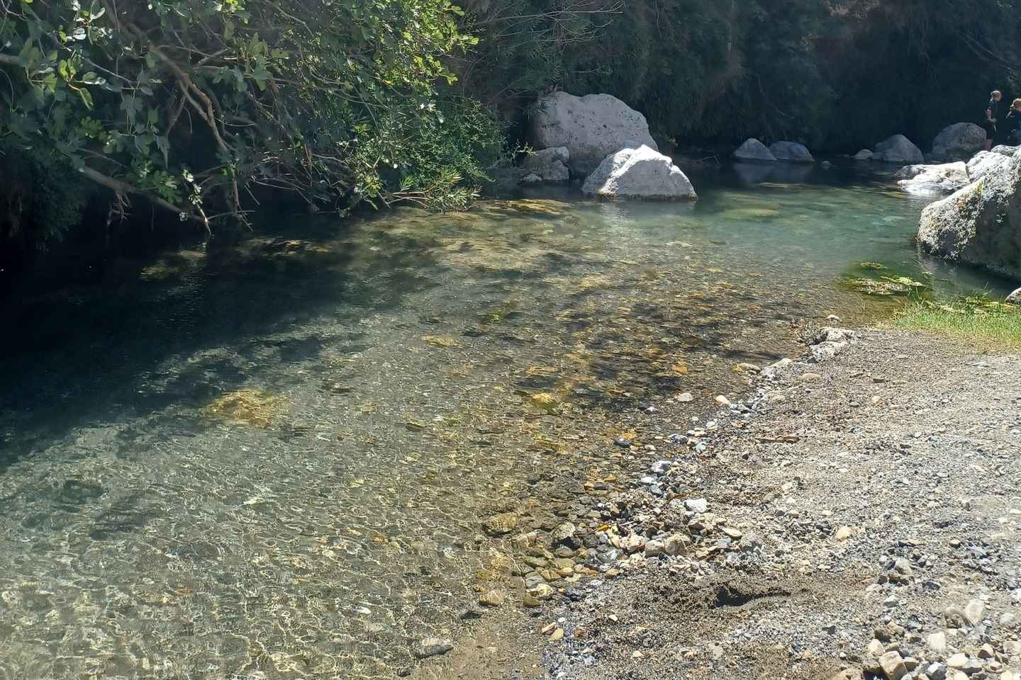 Avventura a Kourtaliotiko Gorge e Relax a Spiaggia di Preveli